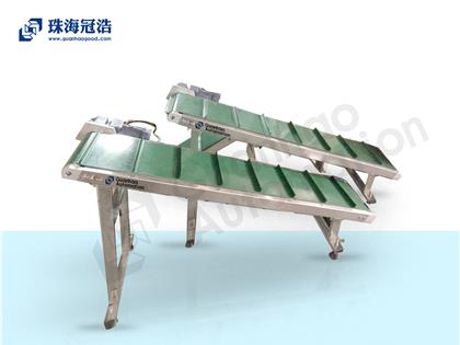 包裝機專(zhuān)用輸送機